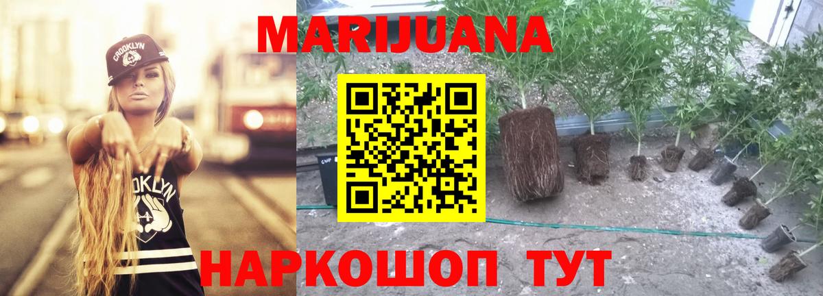 Конопля White Widow Моздок